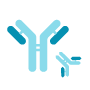 High-throughput antibody expression