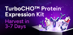 TurboCHO™ Protein Expression Kit | Fast CHO Expression in 3–7 Days | GenScript 