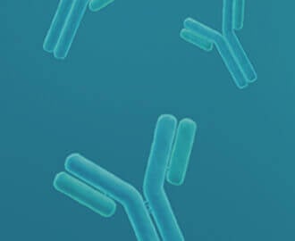Reagent Antibody Services