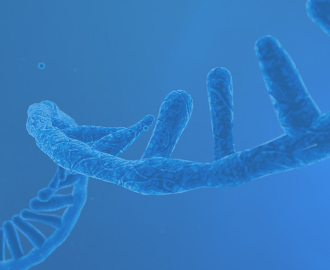 Oligo Services