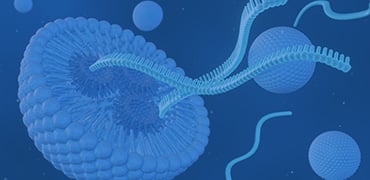 Small Nucleic Acid Drugs Off-target Analysis