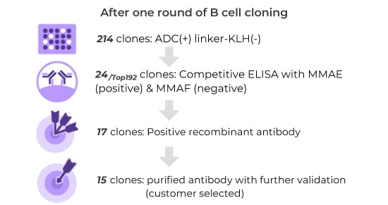 Anti-Idiotypic Antibody Application 