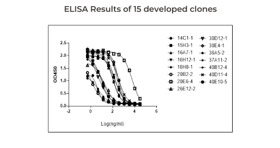 Anti-Idiotypic Antibody Application