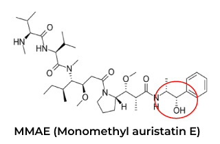 Anti-Idiotypic Antibody Application 