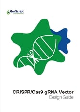 CRISPR/Cas9 gRNA Vector
