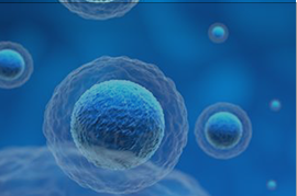 CRISPR Cell Lines