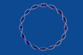 CRISPR/Cas Plasmids
