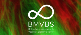 BMVBS Conference | 29-30 Juni 2023