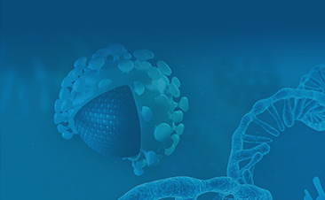 IVT mRNA Herstellung GenScript Komplettlösungen