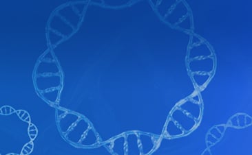 GenCircle Double-Stranded DNA
