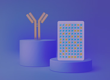 High-Throughput DNA Library Assembly Service
