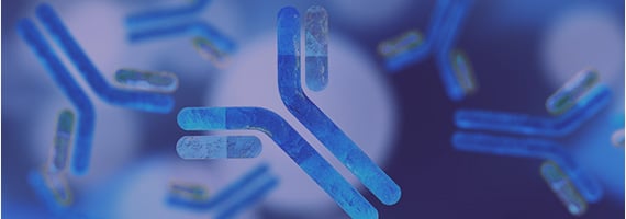 HTP Site-Directed Mutagenesis Service