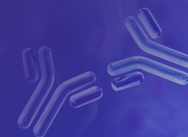 Polyclonal Antibody Services