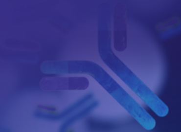 Monoclonal Antibody Services
