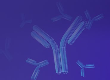 Anti-idiotype Antibody Services