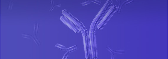 Site-Directed Mutagenesis Service