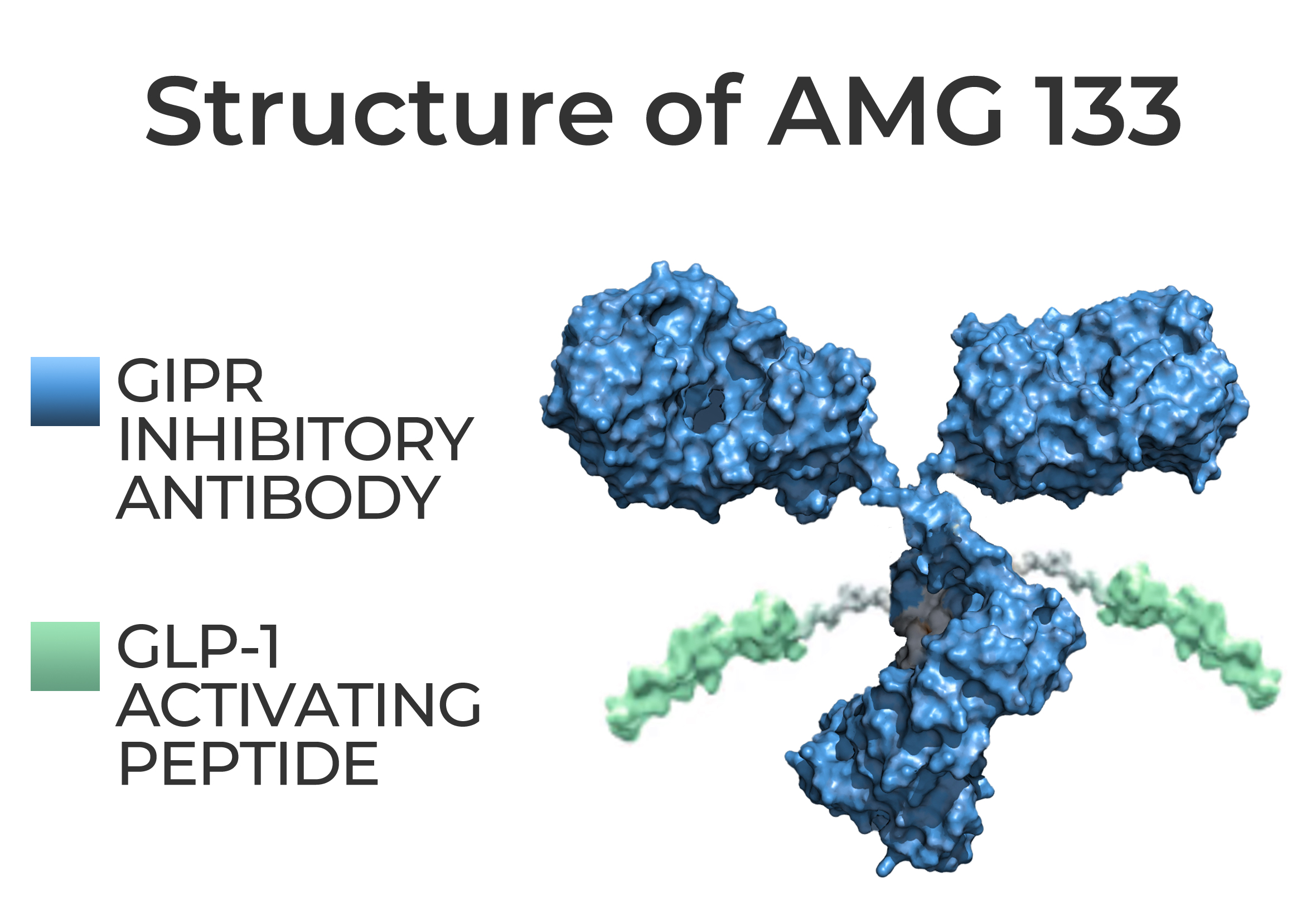 AMG 133