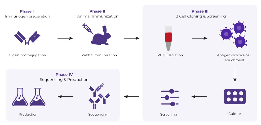Anti-ID Rabbit Monoclonal Antibody Package Anti-ID Rabbit Monoclonal Antibody Package