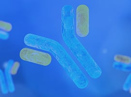 Antibody News