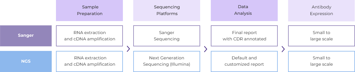  Antibody Sequencing Workflow