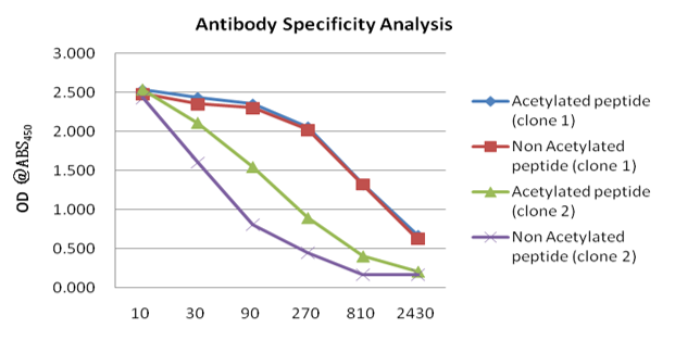 Conventional Protocol antibody specificity analysis Conventional Protocol antibody specificity analysis