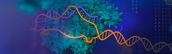 Gene Editing Services
