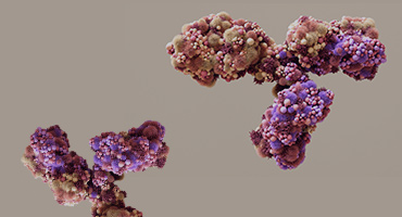 Antibody Drug Discovery Solution