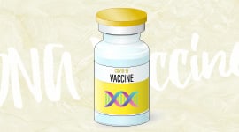 DNA Vaccine