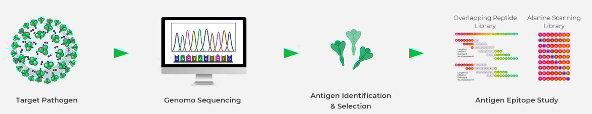 vaccine development solutions