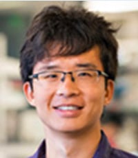 Josh Wang, Ph.D.