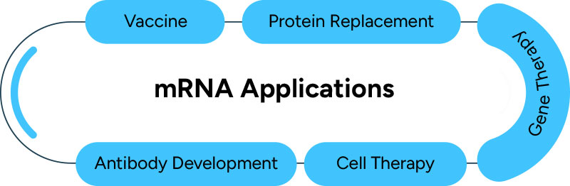 mRNA Applications