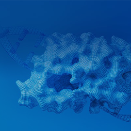 Custom Cas Nucleases