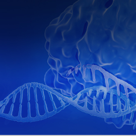 Cas9 Nucleases
