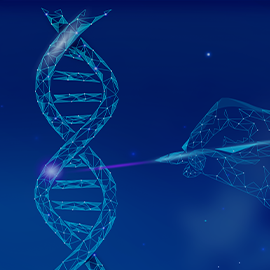 Base and Prime Editing Nucleases