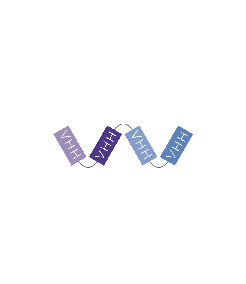 Multiple-VHH