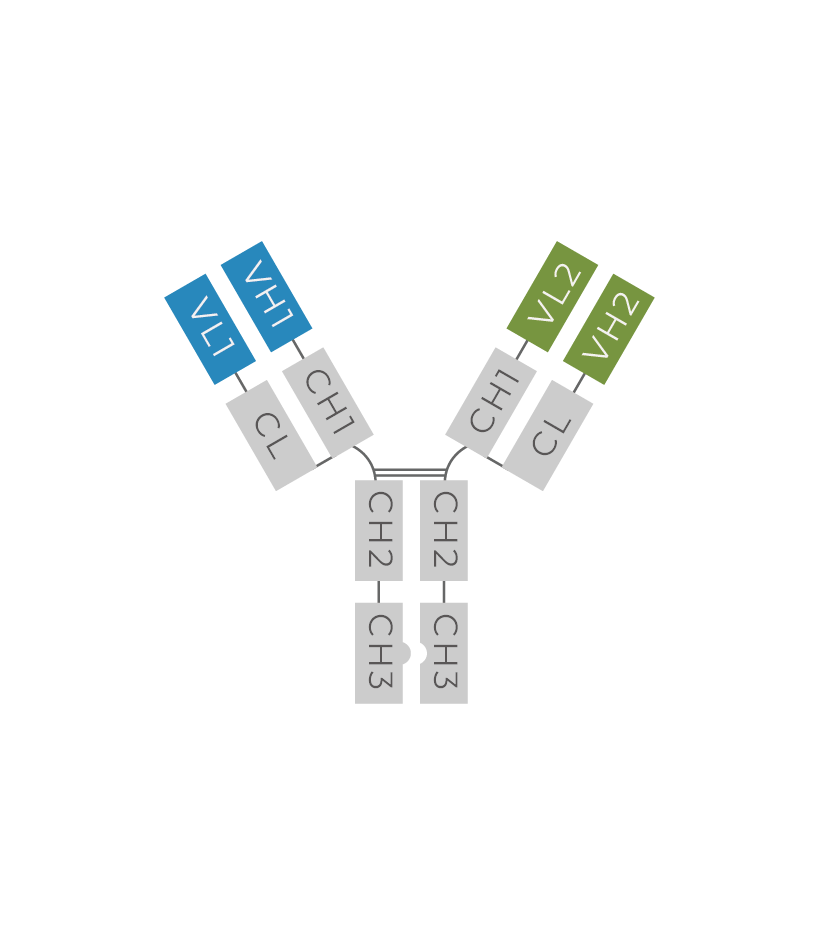 CrossMab(VH-VL)