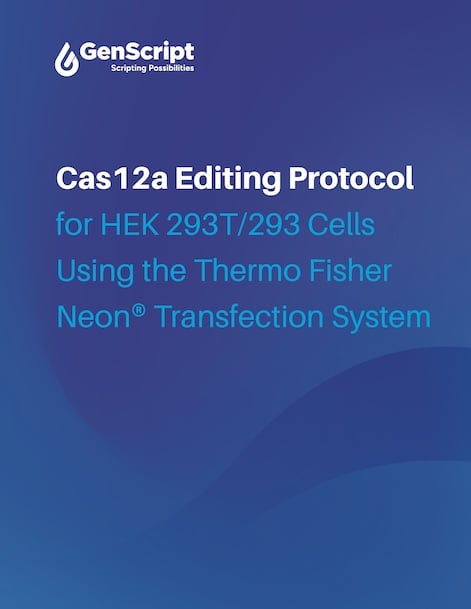 Cas12a Editing Protocol for HEK 293T/293 Cells Using the Thermo Fisher Neon® Transfection System