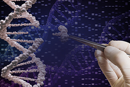 Gene Editing mRNA