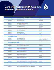 mRNA products flyer  