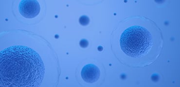 Lentivirus