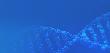  Assay Cell Line Development