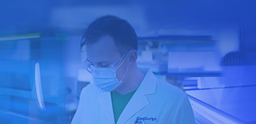 CRISPR Plasmids