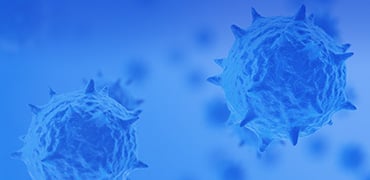 Lentivirus