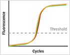 qPCR