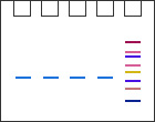 SDS-Page