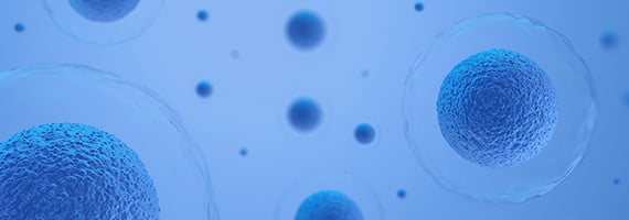 Assay Cell Line Development