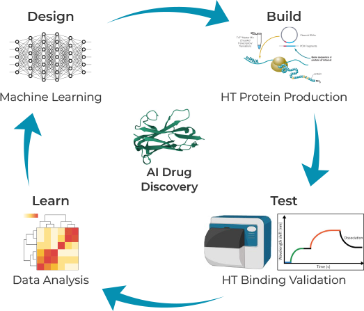Cell Free Protein Expression Services for Accelerating AI-Driven Drug ...