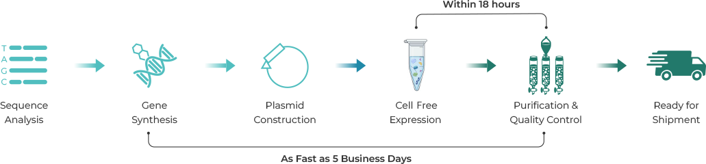 Cell Free Protein Expression Services for Accelerating AI-Driven Drug ...