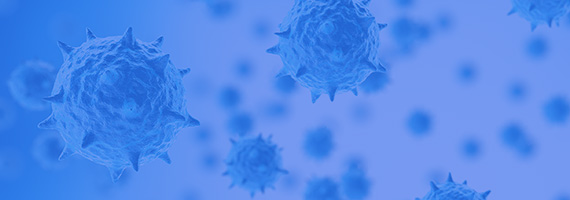 Lentivirus Packaging Service