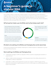 Circular RNA Beginner’s Guide_Infographic